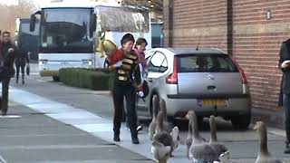 Goose Parade [upl. by Orson]