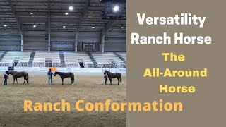 AQHA Versatility Ranch Horse Ranch Conformation [upl. by Levine]