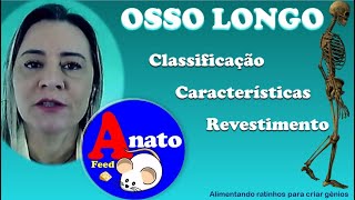 Ossificação  Parte 1  Quais são as características do osso longo [upl. by Betthel]