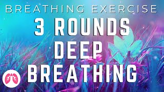 Powerful Breathing Exercise  10 Rounds  Nasal Breathing  TAKE A DEEP BREATH [upl. by Ahsille664]