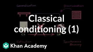 Classical conditioning Extinction spontaneous recovery generalization discrimination [upl. by Haiasi]