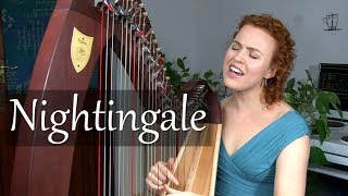 The Nightingale  VOICEHARP Deborah HensonConant [upl. by Aniret724]