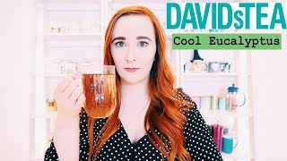 DAVIDSteas Cool Eucalyptus Tea Review amp First Impression  Dana DeStefano [upl. by Musihc]