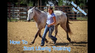 How To Start Liberty Training With Your Horse Basic Exercises Part 1 [upl. by Enytnoel]