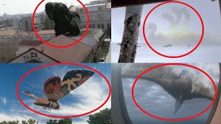 5 Godzilla Characters Caught on Camera amp Spotted in Real Life [upl. by Eirlav]