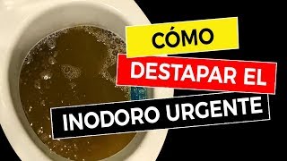 Cómo Destapar el Inodoro Urgente 🚽 [upl. by Hillhouse]