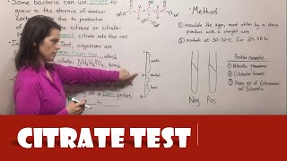 Citrate Test [upl. by Pennebaker]