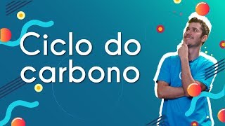 Ciclo do carbono  Brasil Escola [upl. by Ahsiet]