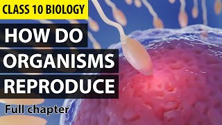 How Do Organisms Reproduce Class 10 Full Chapter Animation  Class 10 Science Chapter 8  NCERT [upl. by Neelhsa]