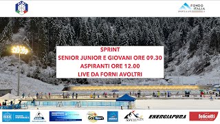 Biathlon Coppa Italia Fiocchi  Sprint  FORNI AVOLTRI [upl. by Gunthar]