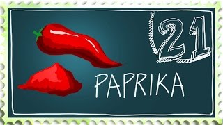 How to grow Paprika  Suburban Homestead EP21 [upl. by Scrivings368]