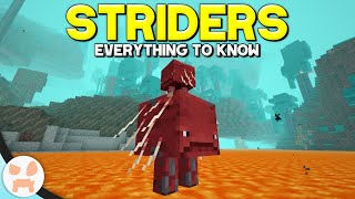 Minecrafts New LAVA STRIDER MOB  Complete Strider Guide  Minecraft 116 Nether Update [upl. by Sigvard]