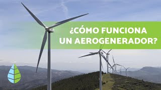 ¿Cómo funciona la ENERGÍA EÓLICA 💨⚡  Tipos de AEROGENERADORES [upl. by Aneehsram]