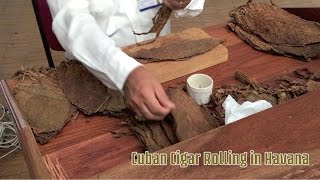 Cuban Cigar Rolling In Havana [upl. by Reiser]