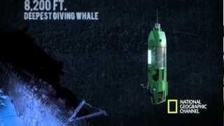 The Life Aquatic with James Cameron  Mariana Trench Dive [upl. by Vescuso]