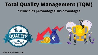 What is Total Quality management TQM  7 Principles of Total Quality Management [upl. by Colvin]