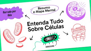 CITOLOGIA  BIOLOGIA  QUER QUE DESENHE [upl. by Inalej]