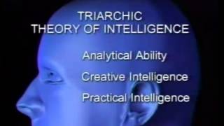 The Triarchic theory of intelligence [upl. by Neetsyrk]