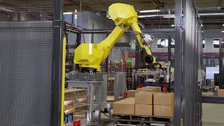 Standard Robotic Palletizer  Pallet Handling [upl. by Midas]