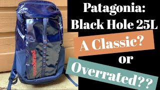 Patagonia Black Hole 25L Backpack [upl. by Refinnaej]