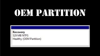 What is OEM Partition in Windows 10 [upl. by Aniral850]