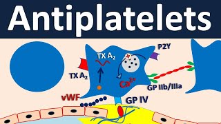 Antiplatelets  Pharmacology in easy way [upl. by Eilrebmik]