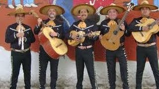 Mariachi band sings quot HAPPY BIRTHDAY SONG quot [upl. by Noirad]