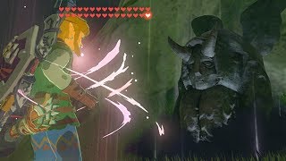 How to Duplicate Hearts and Stamina  Zelda BOTW [upl. by Omixam694]