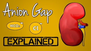 Anion Gap EXPLAINED [upl. by Munt]