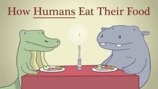 Hippo amp Croc How Humans Eat Their Food [upl. by Jaclin215]