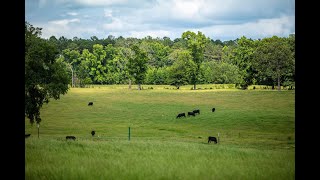 Jeffers Ranch  466 Acres  Smith County Texas Ranch for Sale [upl. by Amal]