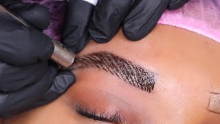 Microblading  The BEST Technique [upl. by Moscow]