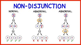 Chromosomal Abnormalities Aneuploidy and NonDisjunction [upl. by Einna606]