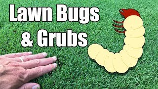 How to Kill Grubs in Lawn [upl. by Nagiam827]