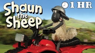 Shaun the Sheep Season 1  Episodes 2130 1 HOUR [upl. by Uhej]