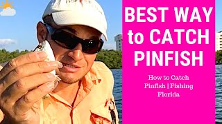 How to Catch Pin Fish  Fishing Florida [upl. by Arodasi]