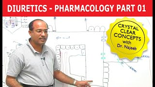 Diuretics  Pharmacology  Part 13 [upl. by Saville]