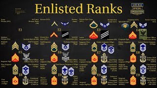 US Military All Branches ENLISTED Ranks Explained [upl. by Ajna]