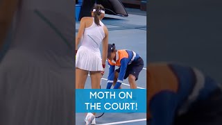 BALLKID v MOTH 😂 [upl. by Idrahs]