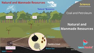 Coal and Petroleum Class 8 Science  Natural and Man made Resources [upl. by Gilda]