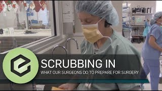 Scrubbing in How Veterinary Surgeons Scrub In For Each Surgery [upl. by Einned]