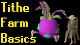 Basic Tithe Farm Guide 2021 OSRS [upl. by Ardnoek]