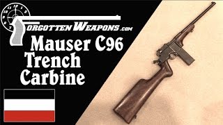 Prototype Mauser 1917 Trench Carbine [upl. by Carothers]