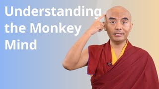 Understanding the Monkey Mind with Yongey Mingyur Rinpoche [upl. by Mackenie289]