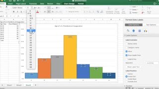 Creating a Histogram in Excel [upl. by Clyve699]