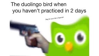 Duolingo Memes [upl. by Nalda]