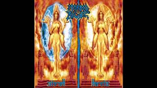 Morbid Angel  Formulas Fatal to the Flesh Full Album [upl. by Nonnaehr617]