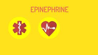 How adrenaline works during anaphylaxis [upl. by Rahab]