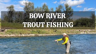 Incredible Bow River Trout Fishing [upl. by Eicaj]