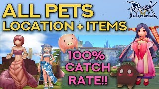 PET CATCHING GUIDE 100 SUCCESS RATE  Ragnarok Mobile Eternal Love [upl. by Sheelagh]